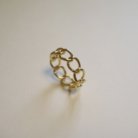 chainring10’gold